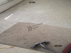 Belmont_CA_Carpet_Cleaning_3