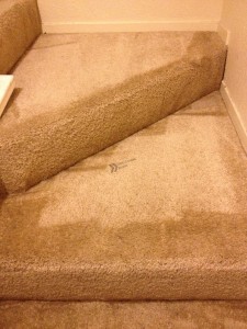 Belmont_CA_STAIRS_CLEANING