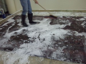 Belmont_CA_RUG_CLEANING_007