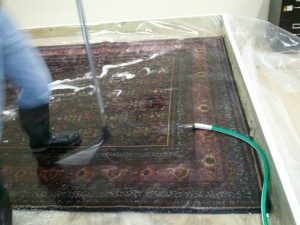 Belmont_CA_RUG_CLEANING_008